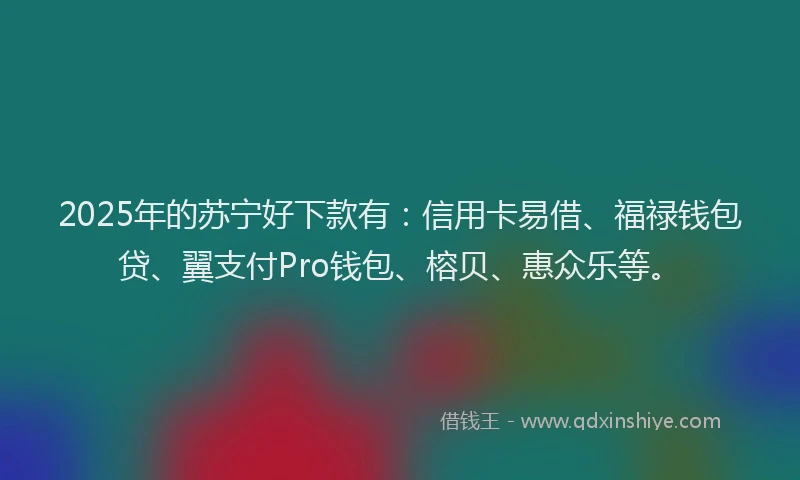 2025年的苏宁好下款有：信用卡易借、福禄钱包贷、翼支付Pro钱包、榕贝、惠众乐等。