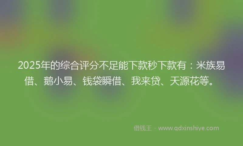 2025年的综合评分不足能下款秒下款有：米族易借、鹅小易、钱袋瞬借、我来贷、天源花等。