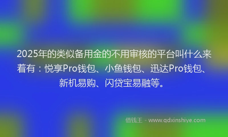 2025年的类似备用金的不用审核的平台叫什么来着有：悦享Pro钱包、小鱼钱包、迅达Pro钱包、新机易购、闪贷宝易融等。