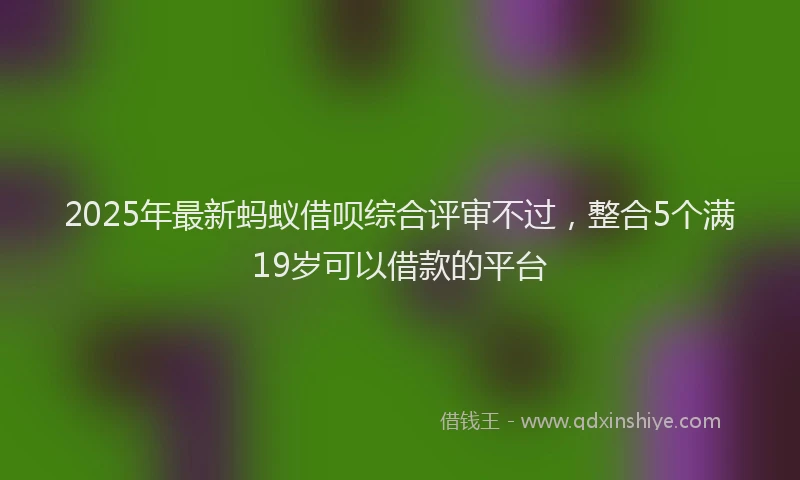 2025年最新蚂蚁借呗综合评审不过，整合5个满19岁可以借款的平台