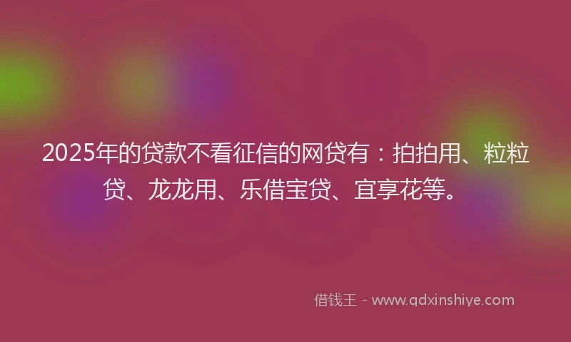 2025年的贷款不看征信的网贷有：拍拍用、粒粒贷、龙龙用、乐借宝贷、宜享花等。