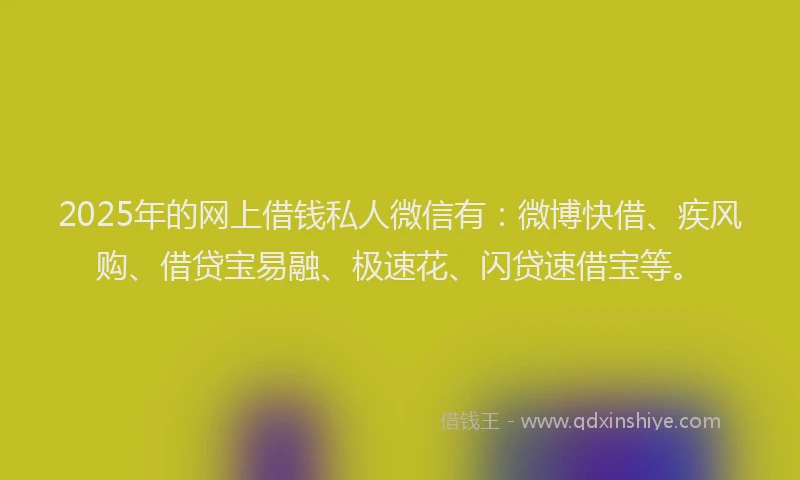 2025年的网上借钱私人微信有：微博快借、疾风购、借贷宝易融、极速花、闪贷速借宝等。