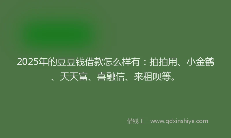 2025年的豆豆钱借款怎么样有：拍拍用、小金鹤、天天富、喜融信、来租呗等。