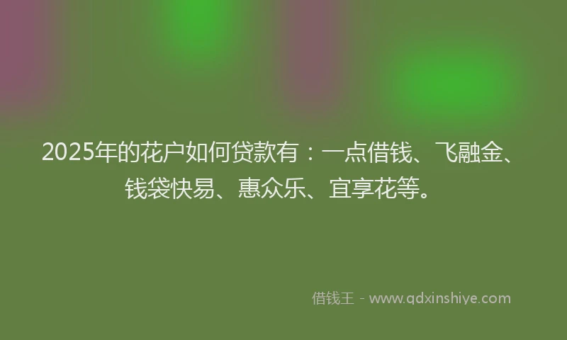 2025年的花户如何贷款有：一点借钱、飞融金、钱袋快易、惠众乐、宜享花等。