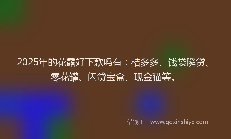 2025年的花露好下款吗有：桔多多、钱袋瞬贷、零花罐、闪贷宝盒、现金猫等。