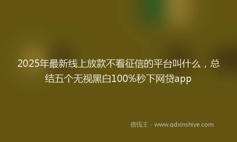 2025年最新线上放款不看征信的平台叫什么，总结五个无视黑白100%秒下网贷app