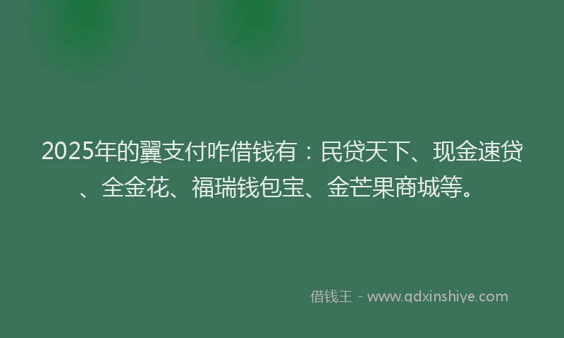2025年的翼支付咋借钱有：民贷天下、现金速贷、全金花、福瑞钱包宝、金芒果商城等。