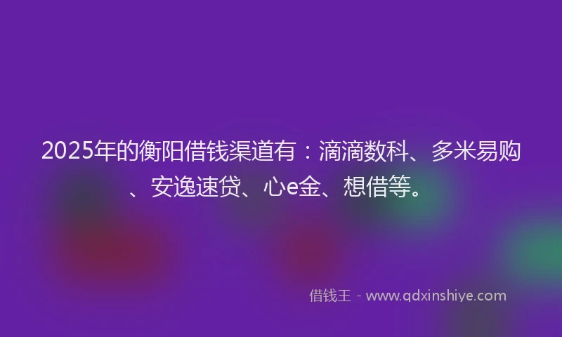 2025年的衡阳借钱渠道有：滴滴数科、多米易购、安逸速贷、心e金、想借等。