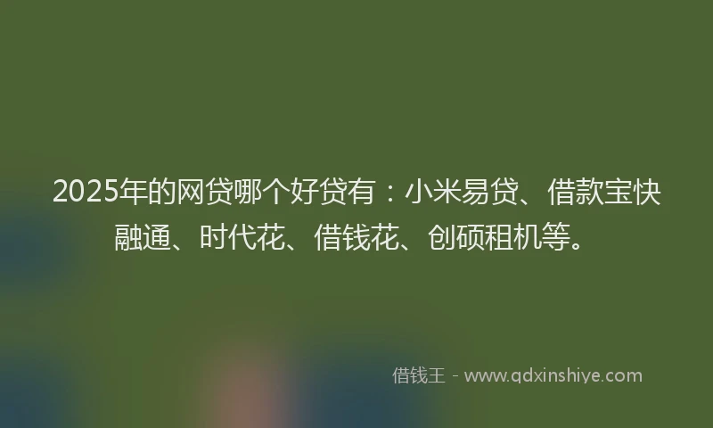 2025年的网贷哪个好贷有：小米易贷、借款宝快融通、时代花、借钱花、创硕租机等。