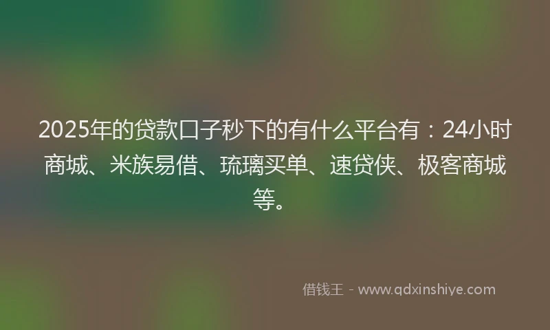 2025年的贷款口子秒下的有什么平台有：24小时商城、米族易借、琉璃买单、速贷侠、极客商城等。