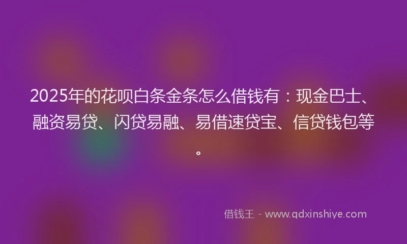 2025年的花呗白条金条怎么借钱有：现金巴士、融资易贷、闪贷易融、易借速贷宝、信贷钱包等。