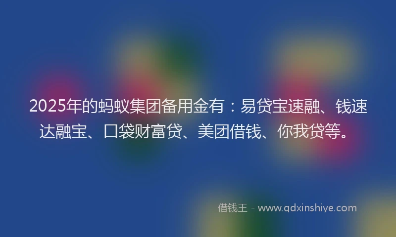 2025年的蚂蚁集团备用金有：易贷宝速融、钱速达融宝、口袋财富贷、美团借钱、你我贷等。