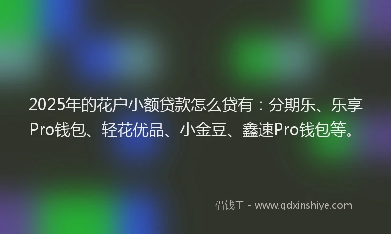 2025年的花户小额贷款怎么贷有：分期乐、乐享Pro钱包、轻花优品、小金豆、鑫速Pro钱包等。