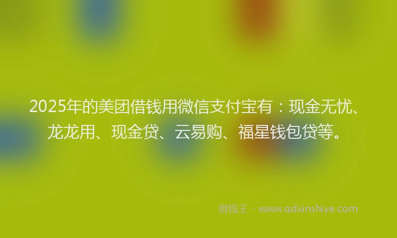 2025年的美团借钱用微信支付宝有：现金无忧、龙龙用、现金贷、云易购、福星钱包贷等。