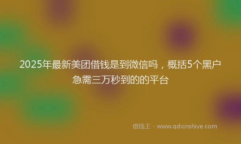 2025年最新美团借钱是到微信吗，概括5个黑户急需三万秒到的的平台