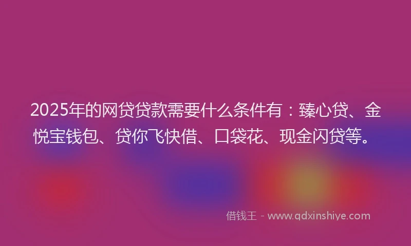 2025年的网贷贷款需要什么条件有：臻心贷、金悦宝钱包、贷你飞快借、口袋花、现金闪贷等。