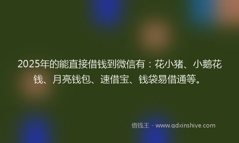 2025年的能直接借钱到微信有：花小猪、小鹅花钱、月亮钱包、速借宝、钱袋易借通等。