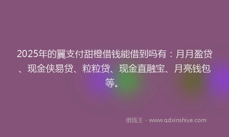 2025年的翼支付甜橙借钱能借到吗有：月月盈贷、现金侠易贷、粒粒贷、现金直融宝、月亮钱包等。