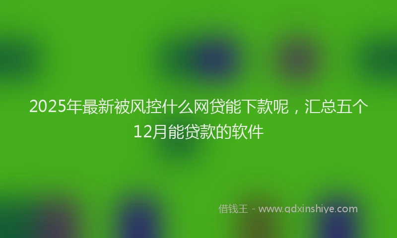 2025年最新被风控什么网贷能下款呢，汇总五个12月能贷款的软件