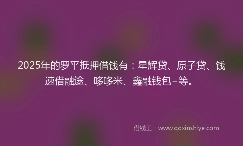 2025年的罗平抵押借钱有：星辉贷、原子贷、钱速借融途、哆哆米、鑫融钱包+等。
