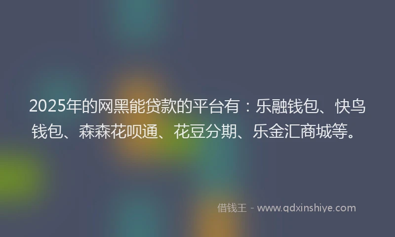 2025年的网黑能贷款的平台有：乐融钱包、快鸟钱包、森森花呗通、花豆分期、乐金汇商城等。