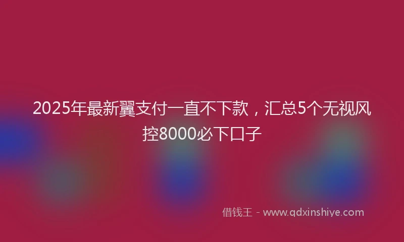 2025年最新翼支付一直不下款，汇总5个无视风控8000必下口子