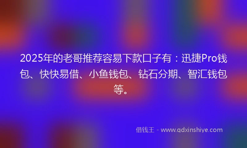 2025年的老哥推荐容易下款口子有：迅捷Pro钱包、快快易借、小鱼钱包、钻石分期、智汇钱包等。