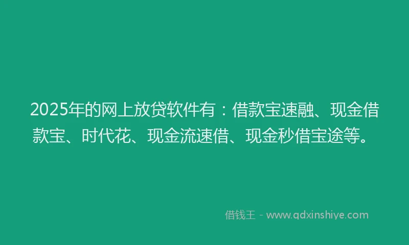 2025年的网上放贷软件有：借款宝速融、现金借款宝、时代花、现金流速借、现金秒借宝途等。