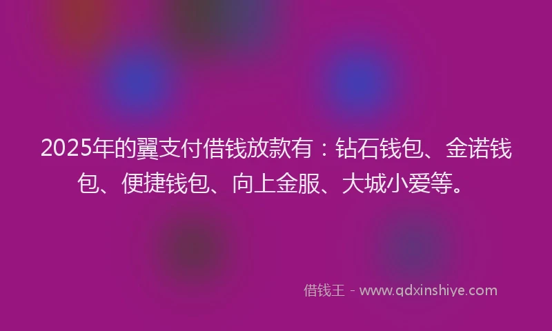 2025年的翼支付借钱放款有：钻石钱包、金诺钱包、便捷钱包、向上金服、大城小爱等。