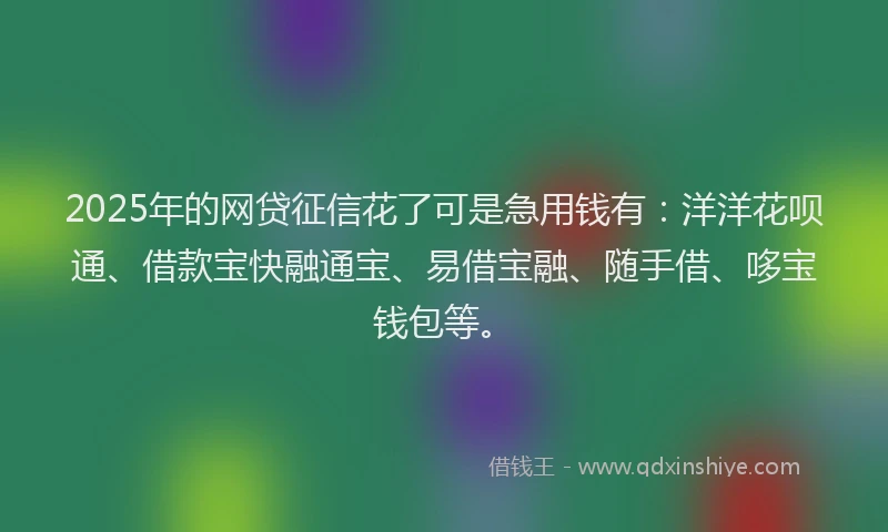 2025年的网贷征信花了可是急用钱有：洋洋花呗通、借款宝快融通宝、易借宝融、随手借、哆宝钱包等。