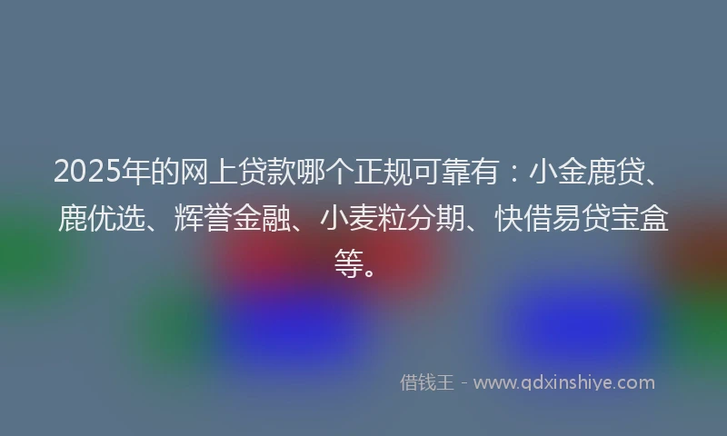 2025年的网上贷款哪个正规可靠有：小金鹿贷、鹿优选、辉誉金融、小麦粒分期、快借易贷宝盒等。