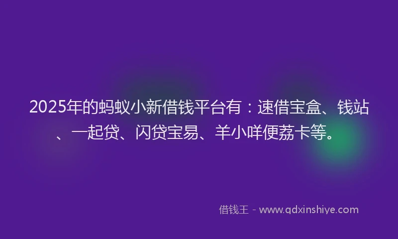 2025年的蚂蚁小新借钱平台有：速借宝盒、钱站、一起贷、闪贷宝易、羊小咩便荔卡等。