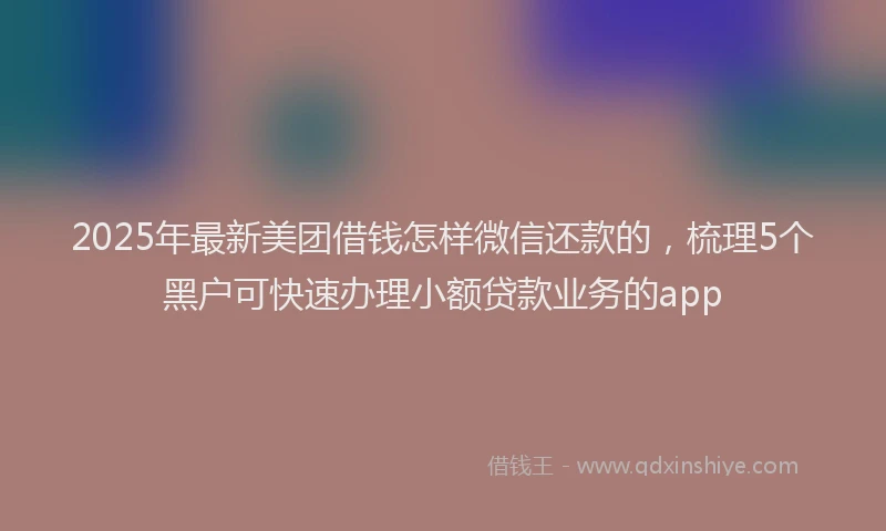 2025年最新美团借钱怎样微信还款的，梳理5个黑户可快速办理小额贷款业务的app