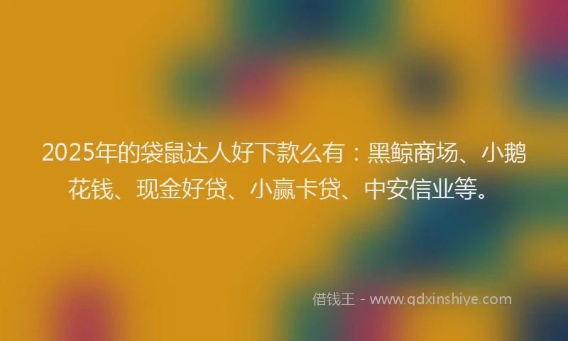 2025年的袋鼠达人好下款么有：黑鲸商场、小鹅花钱、现金好贷、小赢卡贷、中安信业等。