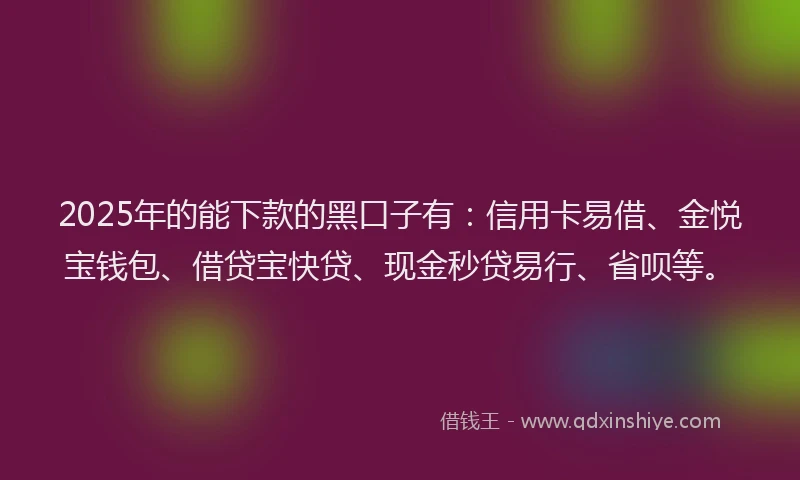 2025年的能下款的黑口子有：信用卡易借、金悦宝钱包、借贷宝快贷、现金秒贷易行、省呗等。