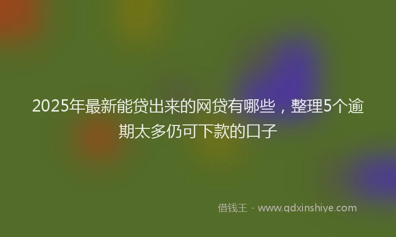 2025年最新能贷出来的网贷有哪些，整理5个逾期太多仍可下款的口子