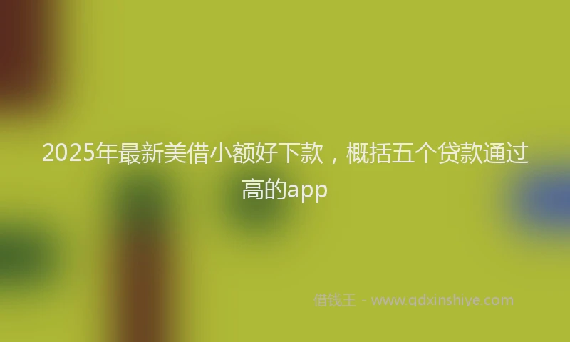 2025年最新美借小额好下款，概括五个贷款通过高的app