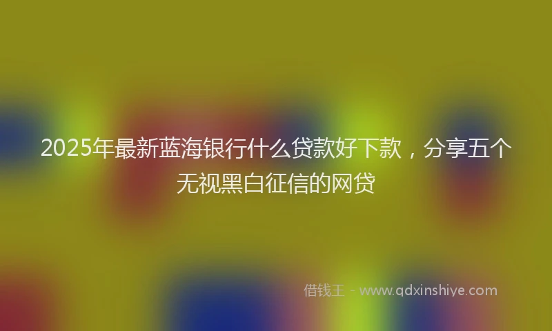 2025年最新蓝海银行什么贷款好下款，分享五个无视黑白征信的网贷