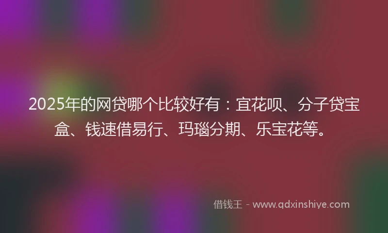 2025年的网贷哪个比较好有：宜花呗、分子贷宝盒、钱速借易行、玛瑙分期、乐宝花等。