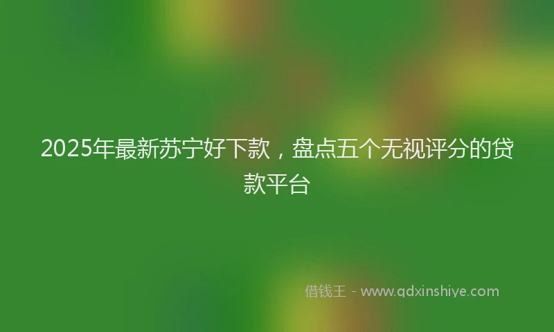 2025年最新苏宁好下款，盘点五个无视评分的贷款平台