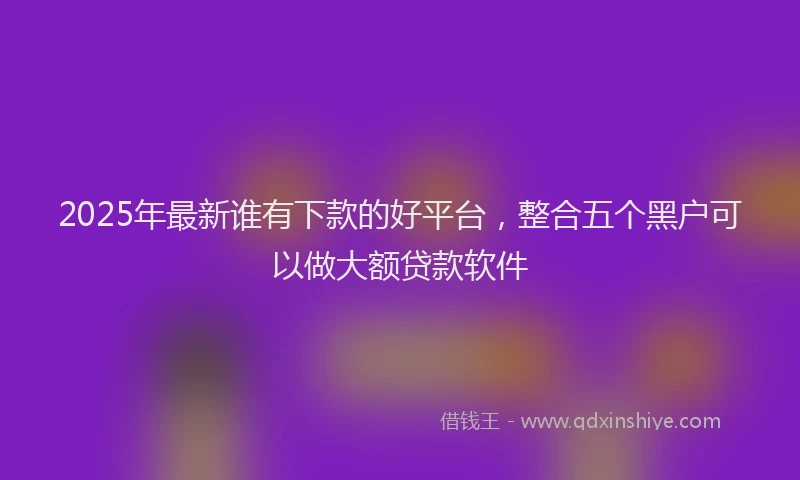 2025年最新谁有下款的好平台，整合五个黑户可以做大额贷款软件