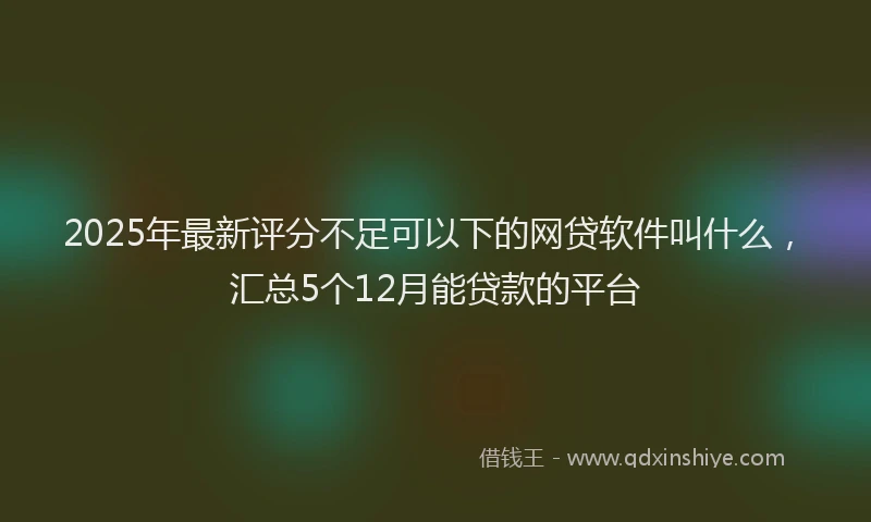 2025年最新评分不足可以下的网贷软件叫什么，汇总5个12月能贷款的平台