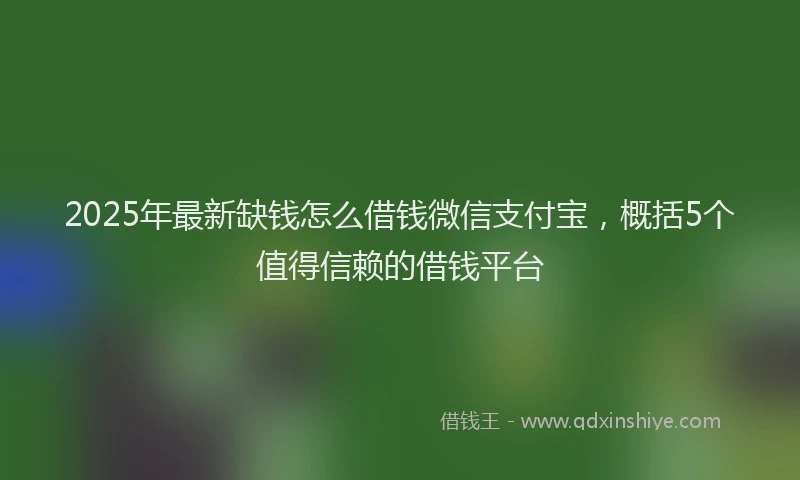 2025年最新缺钱怎么借钱微信支付宝，概括5个值得信赖的借钱平台
