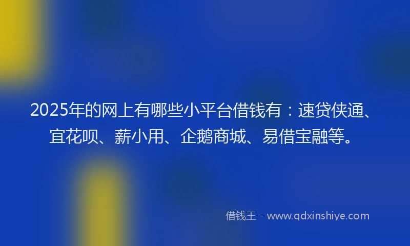 2025年的网上有哪些小平台借钱有：速贷侠通、宜花呗、薪小用、企鹅商城、易借宝融等。
