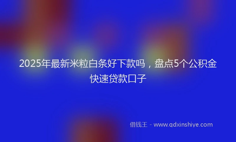 2025年最新米粒白条好下款吗，盘点5个公积金快速贷款口子