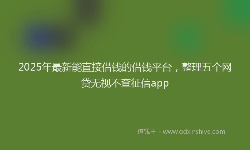 2025年最新能直接借钱的借钱平台，整理五个网贷无视不查征信app