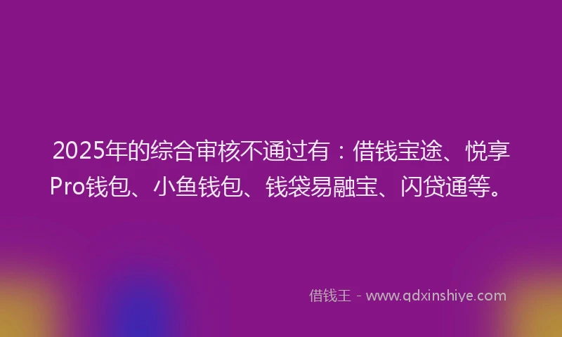 2025年的综合审核不通过有：借钱宝途、悦享Pro钱包、小鱼钱包、钱袋易融宝、闪贷通等。