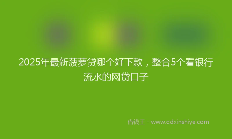 2025年最新菠萝贷哪个好下款，整合5个看银行流水的网贷口子