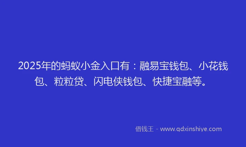 2025年的蚂蚁小金入口有:融易宝钱包、小花钱包、粒粒贷、闪电侠钱包、快捷宝融等。