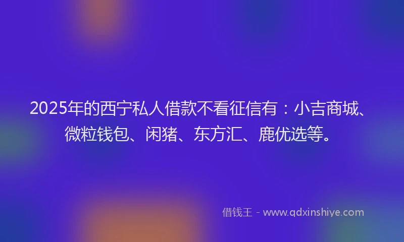 2025年的西宁私人借款不看征信有：小吉商城、微粒钱包、闲猪、东方汇、鹿优选等。
